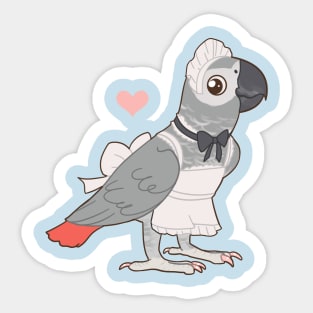 African Grey Maid Bird Sticker